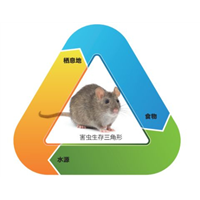 煤气坛在橱柜中的摆放位置