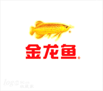 怎么辨別紅龍魚是不是寬身的圖片（怎么辨別紅龍魚是不是寬身的圖片呢） 印尼虎苗