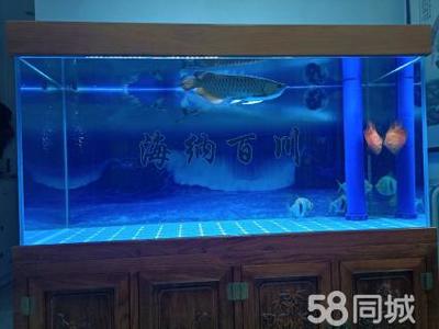 珠海魚缸造景培訓(xùn)機(jī)構(gòu)排名（珠海魚缸造景培訓(xùn)機(jī)構(gòu)排名前十）