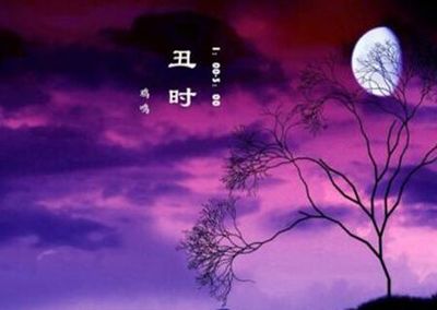 丑时出生的命运如何