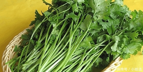 怀孕不能吃香菜