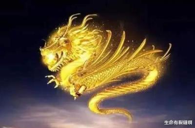 今年属龙多大