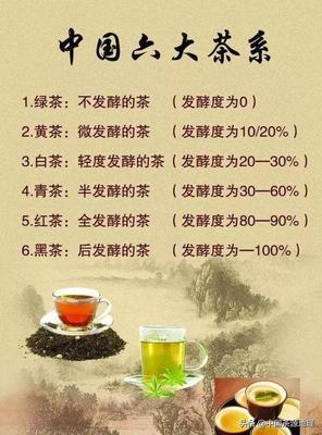 茶的品种