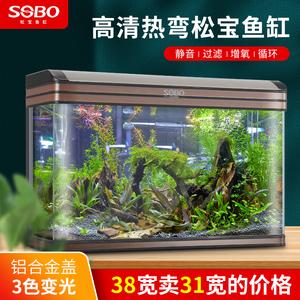 紅龍魚能長多長（紅龍魚能長多長的魚） 祥龍水族醫(yī)院