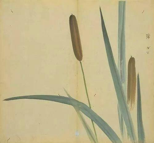 洧的寓意