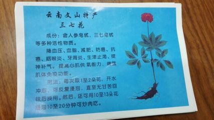 怀孕能吃血肠吗