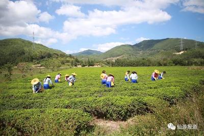 仙游县怎么样