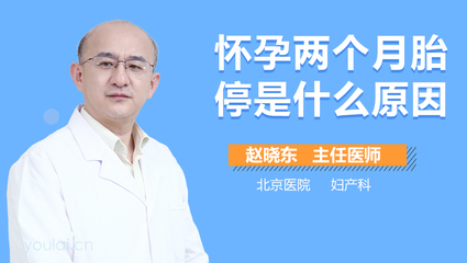 两个月胎停是什么原因