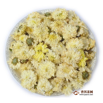 普洱能和菊花一起泡吗
