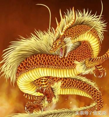 属龙的命