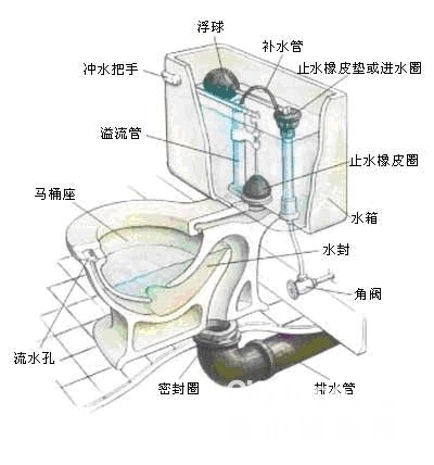马桶剖面图