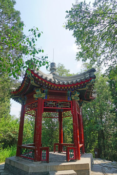 公园名称