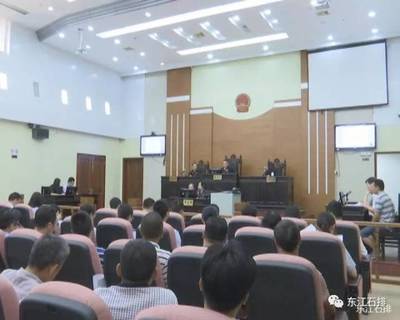 民告官成功案例