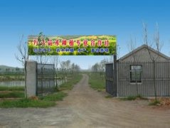 种植合作社起名
