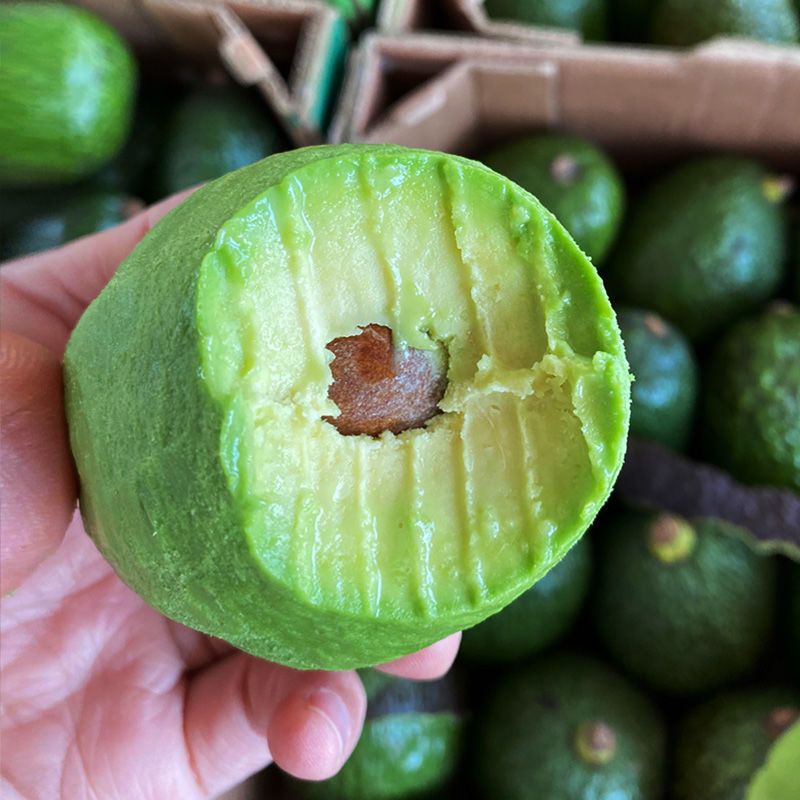 牛油果怕冻吗