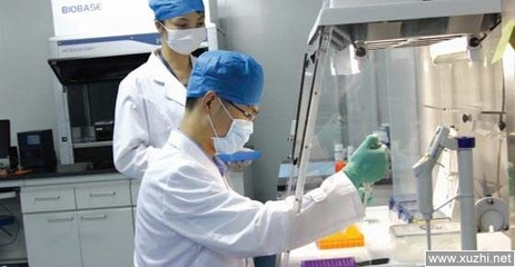 医院亲子鉴定挂什么科
