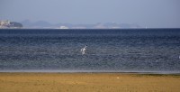 山东海滩旅游景点推荐