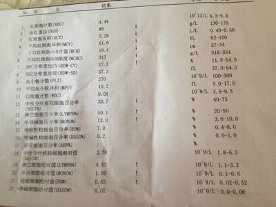 6个月宝宝中度贫血