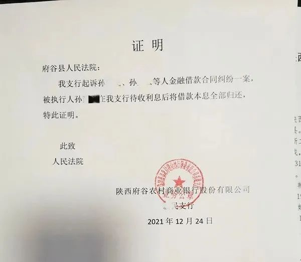 执行文书查询