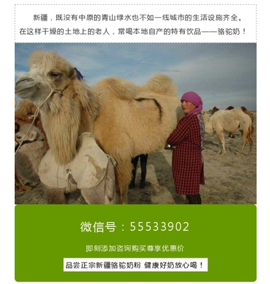 骆驼奶粉能降血压吗