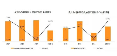 红金龙鱼视频高清（红金龙鱼视频高清在线观看）