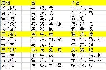 属相相冲相克
