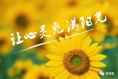 阳光心态日 怎么讲