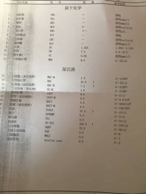 怀孕粘液丝高是怎么回事