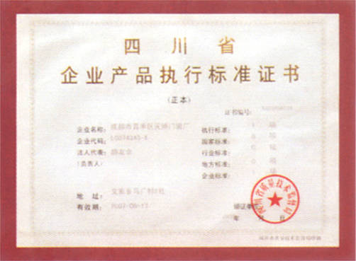 执行标准是什么