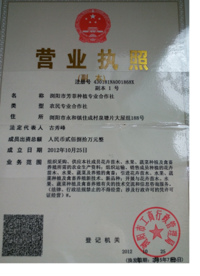 营业执照在哪儿办
