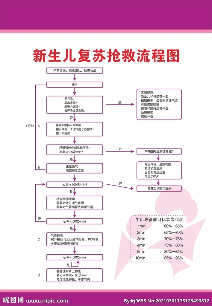 新生儿复苏抢救流程
