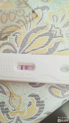 怀孕会不会测不出来