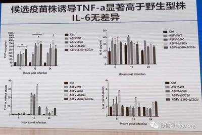 注册验船师学历条件有哪些