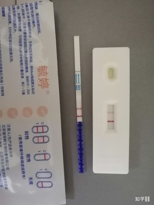 吃毓婷会怀孕吗