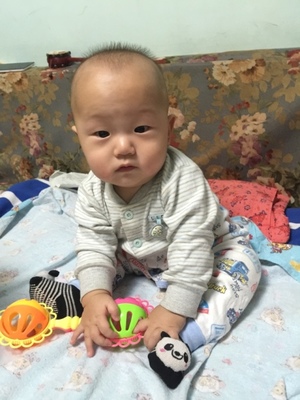 七个月宝宝不会坐正常吗