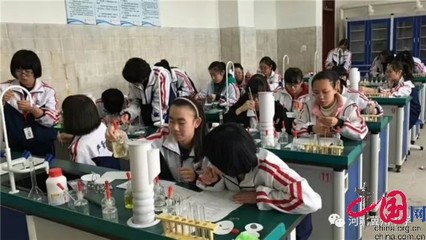 学生实验效果怎么写