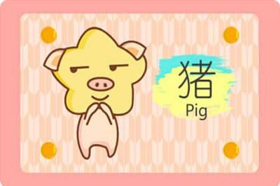 属猪取名宜忌