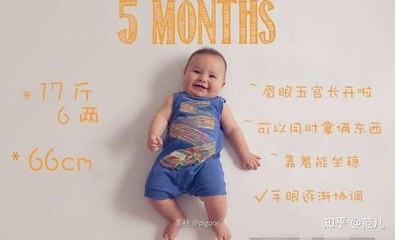 怀孕五个月宝宝发育标准