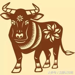 属牛与什么属相相合