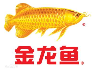 南京賣魚缸的實(shí)體店在哪里（南京賣魚缸的實(shí)體店在哪里?。? title=