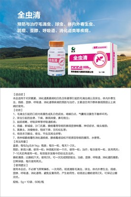 鸽子歪脖子怎么治疗
