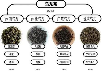 乌龙茶四大产区