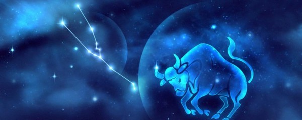 和金牛最配的星座