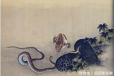 什么属相克蛇