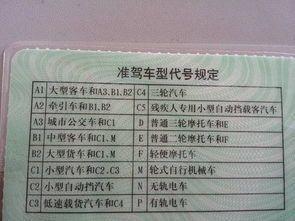 b1驾照扣分新规定