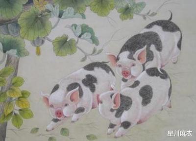 属猪本周运势