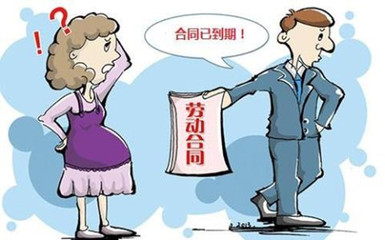 怀孕期间合同到期