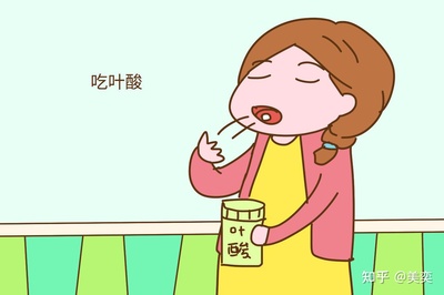 叶酸吃到怀孕几个月