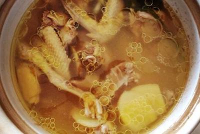 孕妇鸽子汤禁忌