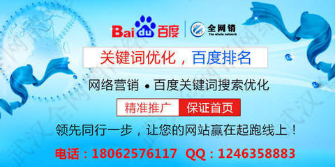 武汉武昌网站优化公司专注百度推广包年收费-信息服务